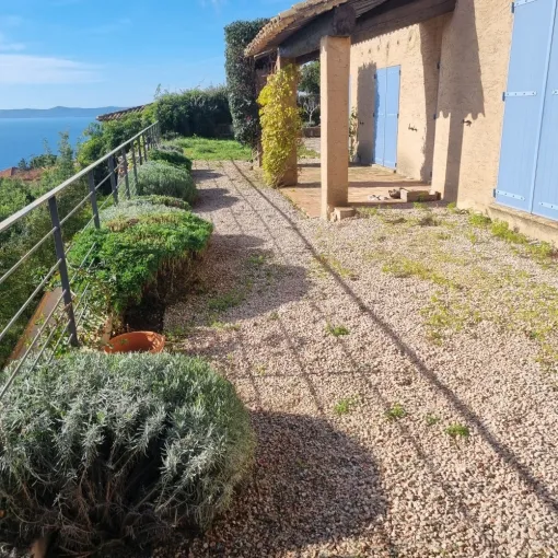 Taille d'entretien et remise en état d'une terrasse à Bormes-les-Mimosas , Hyères, GBS Paysage